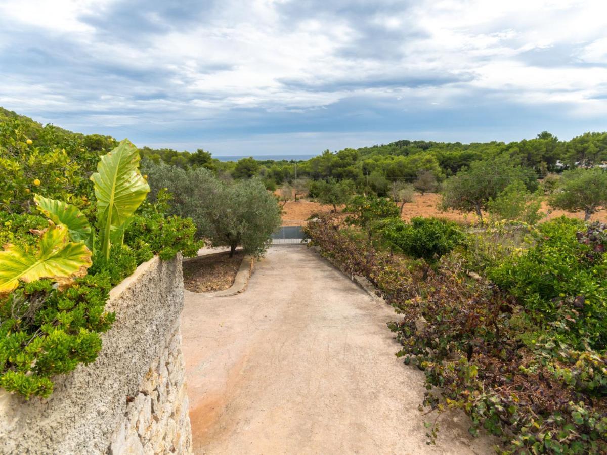 Holiday Home Can Pep Jaume By Interhome Es Cana 외부 사진